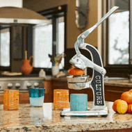 Small metal citrus juicer with curved handle and lever on granite countertop next to fresh oranges.