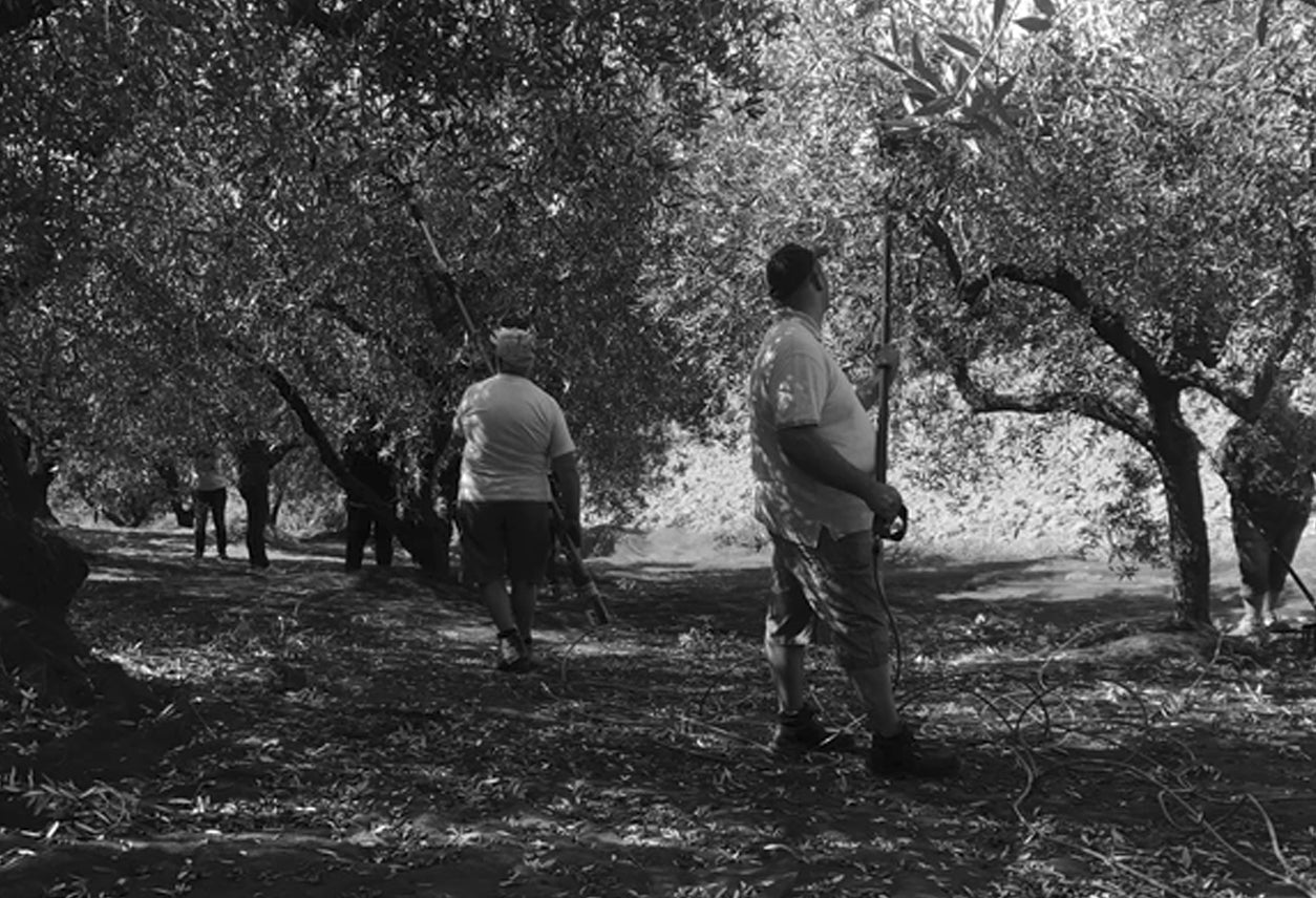 Italian Infused Extra Virgin Olive Oil