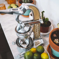 Artisan Citrus Juicer - Small